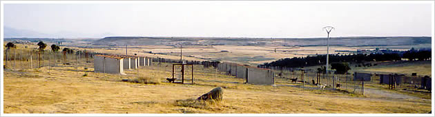 Rio Nevado - Criadero - Kennel